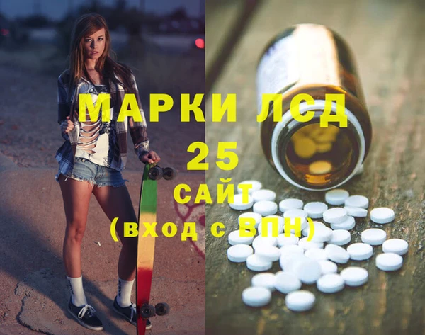 индика Зерноград