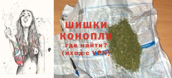 индика Зерноград
